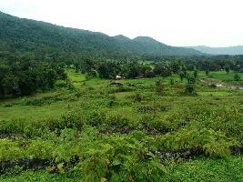  Agricultural Land for Sale in Sankarankoil, Tirunelveli