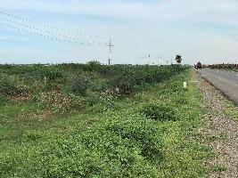  Commercial Land for Sale in Palayamkottai, Tirunelveli