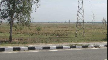  Agricultural Land for Sale in NH 1, Rajpura