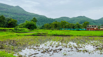  Agricultural Land for Sale in Karjat, Mumbai