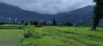  Agricultural Land for Sale in Karjat, Mumbai