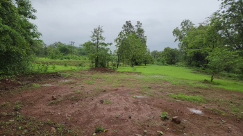  Agricultural Land for Sale in Karjat, Mumbai