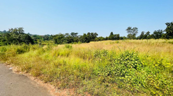  Agricultural Land for Sale in Karjat, Mumbai