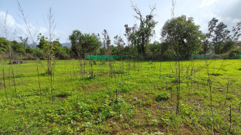  Agricultural Land for Sale in Karjat, Mumbai
