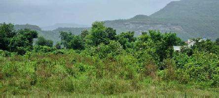  Agricultural Land for Sale in Karjat, Mumbai