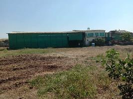  Residential Plot for Sale in Sector 125 Mohali