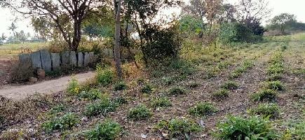  Agricultural Land for Sale in Sidlaghatta, ChikBallapur