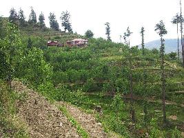  Agricultural Land for Rent in Kotkhai, Shimla