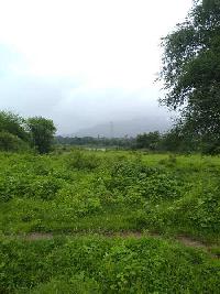  Agricultural Land for Rent in Virar East, Mumbai