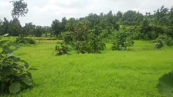  Agricultural Land for Sale in Virar East, Mumbai