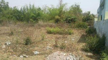  Residential Plot for Sale in Kanisi, Berhampur