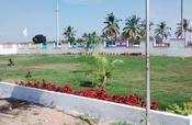  Residential Plot for Sale in Sarjapur Road, Bangalore