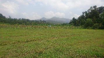  Agricultural Land for Sale in Gudalur The Nilgiris