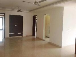4 BHK Builder Floor for Rent in Hauz Khas Enclave, Delhi