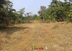  Industrial Land for Sale in Ranjanwadi, Mahabaleshwar