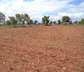 Agricultural Land 14 Acre for Sale in Kuhi, Nagpur