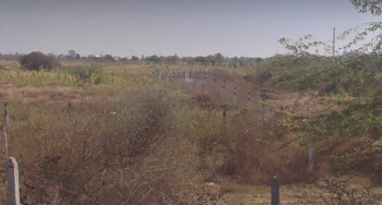  Industrial Land for Sale in Halol, Panchmahal