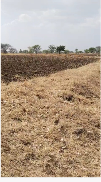  Agricultural Land 100 Acre for Sale in Multai, Betul