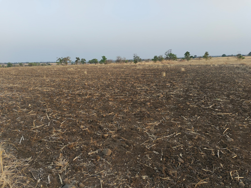  Agricultural Land 100 Acre for Sale in Multai, Betul