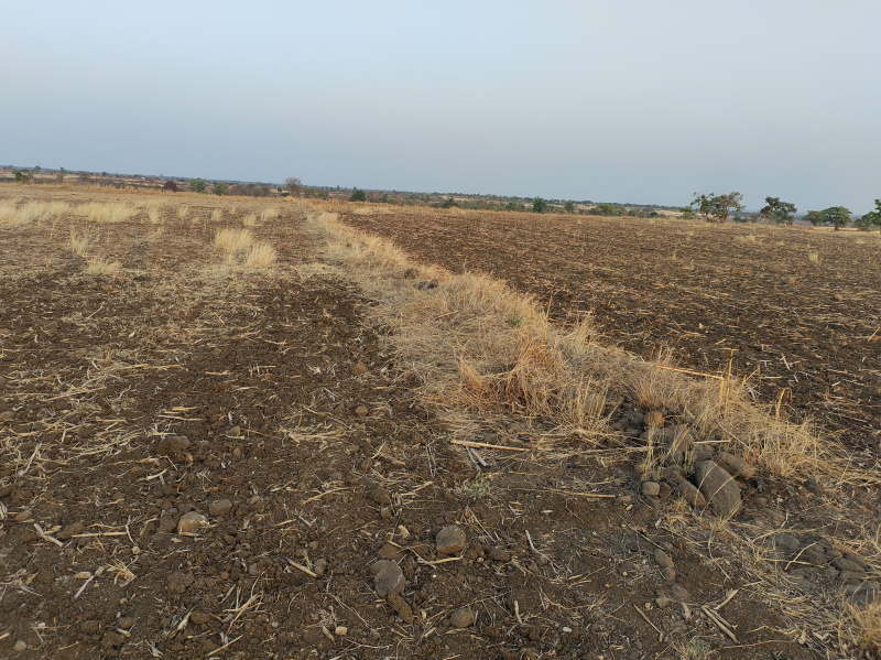  Agricultural Land 100 Acre for Sale in Multai, Betul