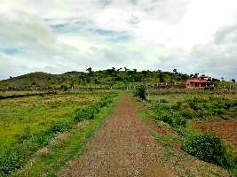  Farm House for Sale in Jejuri MIDC, Pune