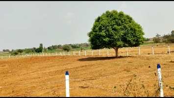  Agricultural Land for Sale in Shadnagar, Hyderabad