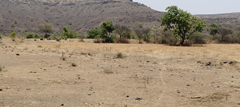  Agricultural Land for Sale in Saswad, Pune