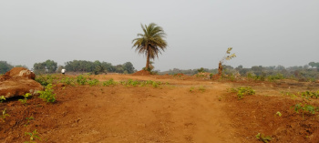  Agricultural Land for Sale in Alibag, Raigad