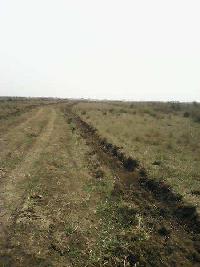  Residential Plot for Sale in Sundarpada, Bhubaneswar