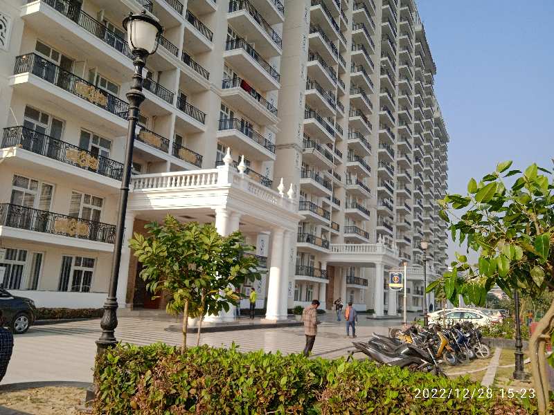 3 BHK Apartment 1350 Sq.ft. for Rent in Sector 7,