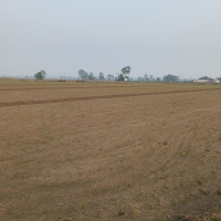  Industrial Land for Sale in Kohara, Ludhiana