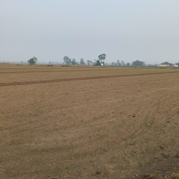  3 Acre Industrial Land for Sale in Kohara, Ludhiana