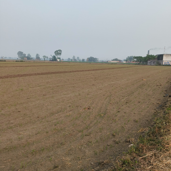  3 Acre Industrial Land for Sale in Kohara, Ludhiana