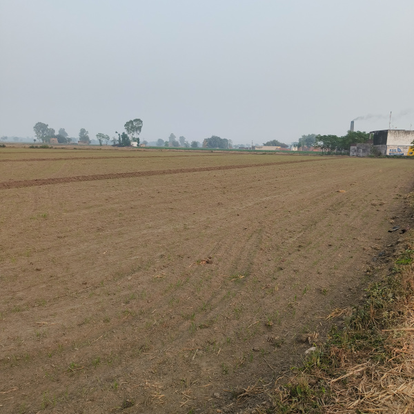  3 Acre Industrial Land for Sale in Kohara, Ludhiana