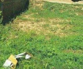  Residential Plot 368 Sq. Yards for Sale in Sukhrampur, Rupnagar