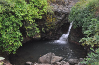  Residential Plot for Sale in Kushivade, Chiplun