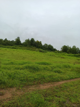  Agricultural Land for Sale in Kudal, Sindhudurg