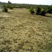  Residential Plot for Sale in Sector 17 Sonipat