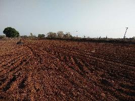  Agricultural Land for Sale in Haripur, Gir Somnath