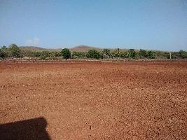  Agricultural Land for Sale in Haripur, Gir Somnath