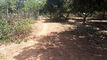  Agricultural Land for Sale in Velankanni, Nagapattinam