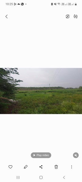Agricultural Land 10 Acre for Sale in Bellampalle, Mancherial