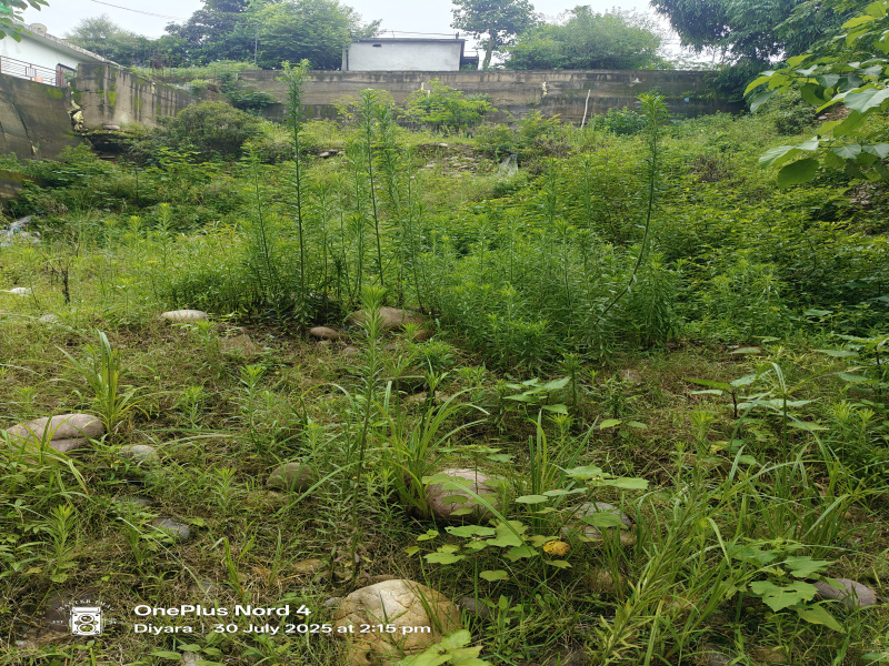  Commercial Land 31 Marla for Sale in Dera Gopipur, Kangra
