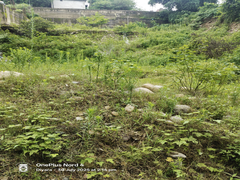  Commercial Land 31 Marla for Sale in Dera Gopipur, Kangra