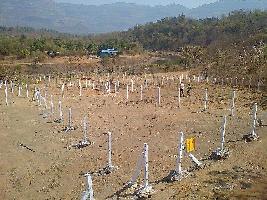  Residential Plot for Sale in Alibag, Raigad