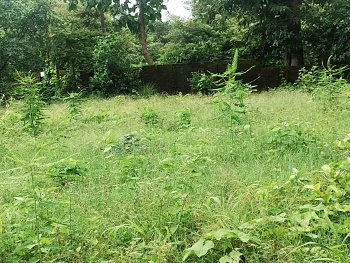  Agricultural Land for Sale in Palghar East