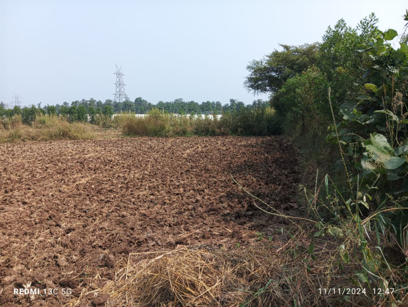  Commercial Land 54 Guntha for Sale in Wada, Thane