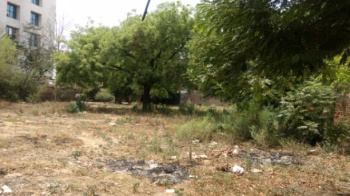  Industrial Land for Sale in Sohna Road, Gurgaon