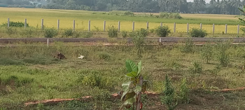  Residential Plot for Sale in Pipili, Puri