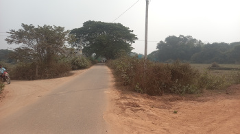  Residential Plot for Sale in Madhupur, Cuttack